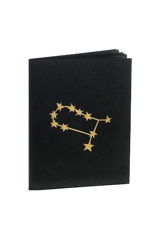 İkizler Burcu Yıldız Haritası Defter