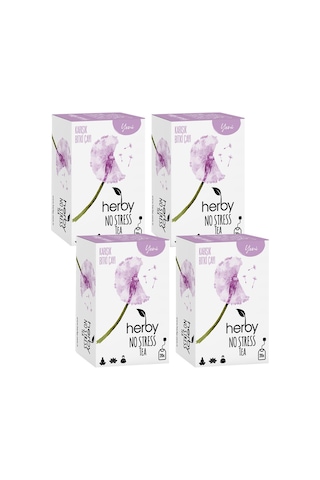 Herby Nos Tea Karışık Süzen Poşet Çay 4'lü 20 x 2 G