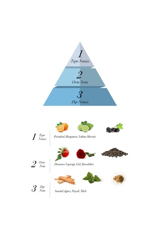 Prova L'Essence ve Heracles EDP Erkek Parfüm Seti 2 x 100 ML