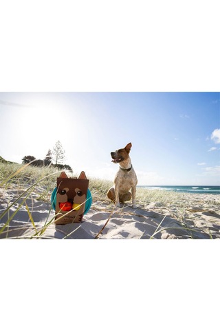 Waboba Woofpack Frizbi Top Köpek Oyuncağı Oyun Seti