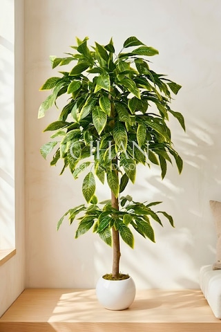 Premium Kalite Yapay Ceviz Ağacı 180 Cm 27x33 Küre Saksı Beyaz