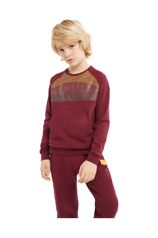 Galatasaray Çocuk Eşofman Alt C232006 Bordo