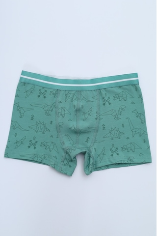 Toontoy Erkek Çocuk Hayvan Figürlü 4lü Paket Boxer Çok Renkli