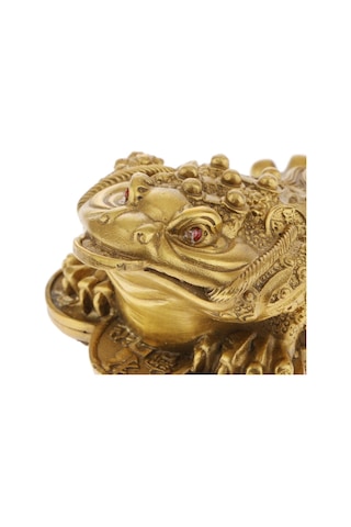 Homyl Feng Shui Para Şanslı Fortune Oryantal Çin Zenginliği L L