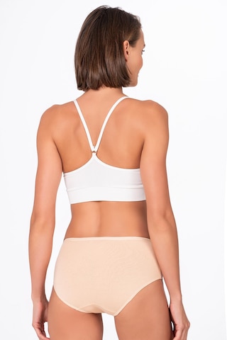 Kadın Pamuklu Yüksek Bel Bato Modal Külot Ten K23922-ten Ten Rengi