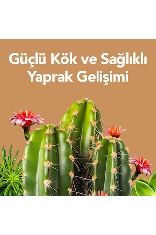 Petroturk Succulent Sıvı Bitki Besini 250 Ml 1