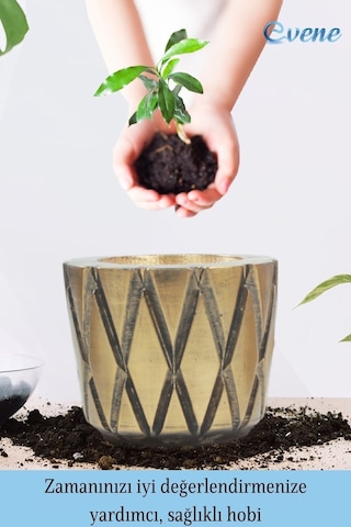 Saksı Çiçek Kaktüs Saksısı Lüx 15 Cm Baklava Desen Saksı Çiçeklik - Altın Eskitme