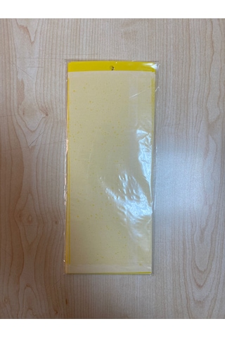 Sarı Yapışkan Kart Tuzak 25cmx10cm 10 Adet