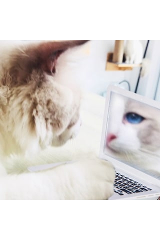 Shineyee Portatif Mini Dizüstü Stili Güneş Parlatıcı Pudra Makyaj Aracı Beyaz Camlı Ayna