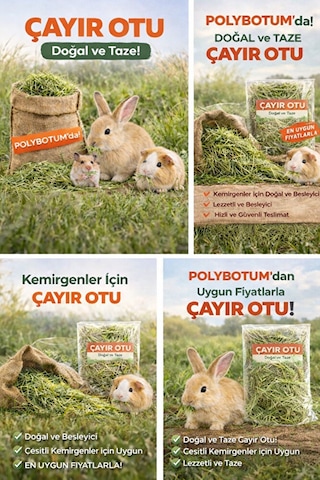 Doğal Çayır Otu Kemirgen Yemi Tavşan Hamster Ginepig Chinchilla Doğal Kurutulmuş Kemirgen Otu 100 Gr