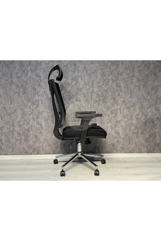 Leon Fileli Yönetici Koltuğu