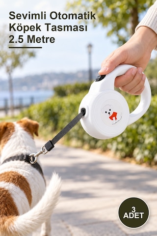 3 Adet Sevimli Otomatik Köpek Tasması 2.5 Metre Metal