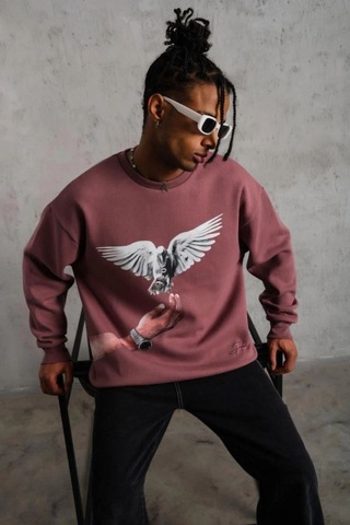 Erkek Güvercin Baskılı Bisiklet Yaka Sweatshirt 3 İplik Pamuklu - Gül Kurusu Gülkurusu