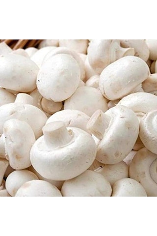 Eko Paket Kültür Mantarı Tohumu Beyaz Şapkalı Kültür Mantarı Tohumu 100 Tohumu +sürpriz Hediye Tohum