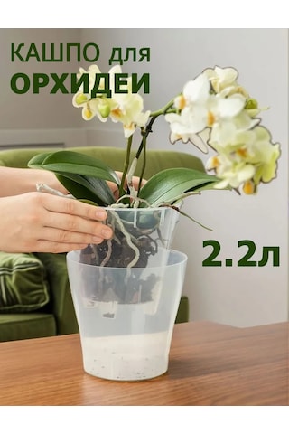 Al' Ternatıva Leia Orkide Saksısı 2,2 L, Drenajlı 13195594