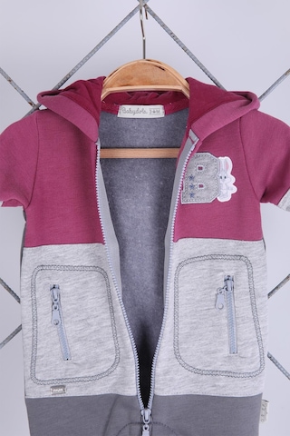 Babyhola Kız Erkek Fermuarlı Kapüşonlu Spor Tulum 12645 Mor