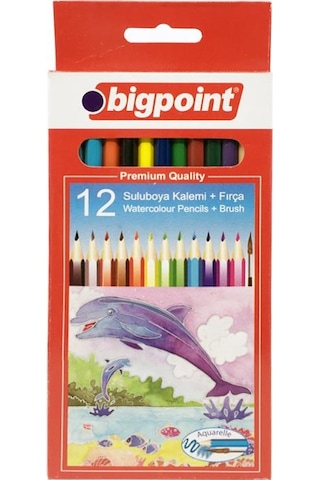 Bigpoint 12'li Sulu Boya Seti fırça