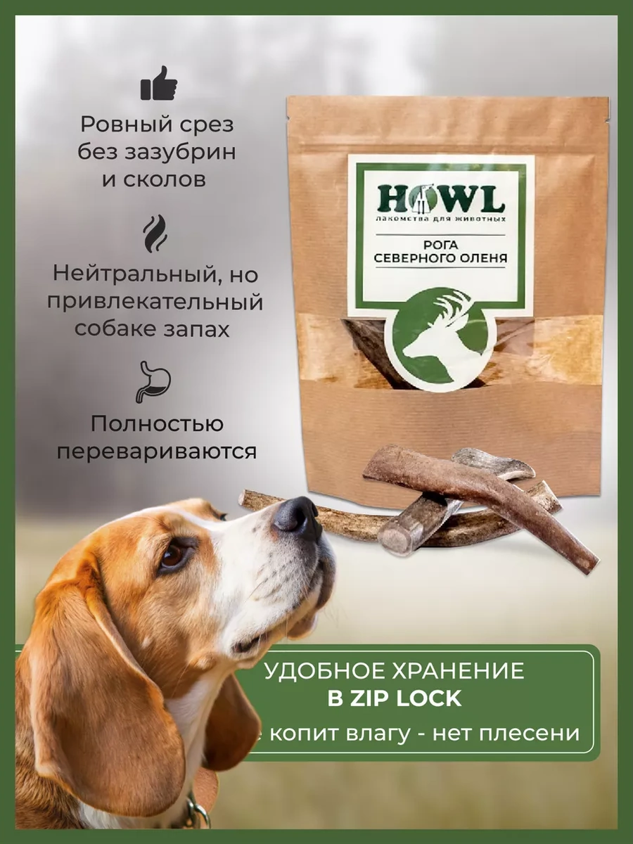 Howl Kuzey Ren Geyiği Boynuzları M 200g 142544447