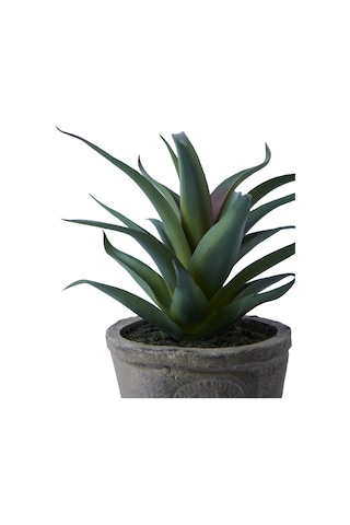 Yargıcı Yapay Bitki Sukulent 20x21 Cm 26knha1100t St