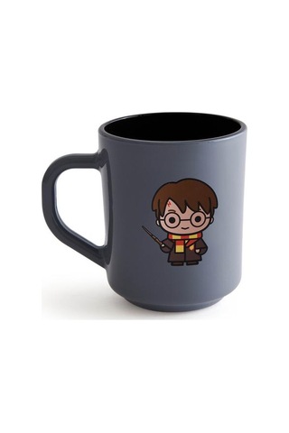 Rakle Harry Potter Kupa - Gri - 250 Ml Gri