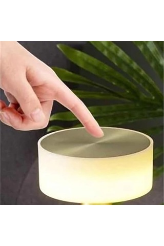 Şarjlı Masa Lambası İnci Rose Dokunmatik, 3 Renk Işık Modu, Dekoratif Abajur, Led Cafe Restoran Masa Lambası, Usb İle Şarj Edilebilir .