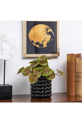 Karaca Home Rocco Dekoratif Vazo Siyah 300.23.01.0363