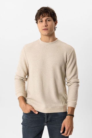 Backandbond Bej Regular Fit Desenli Bisiklet Yaka Sweatshirt