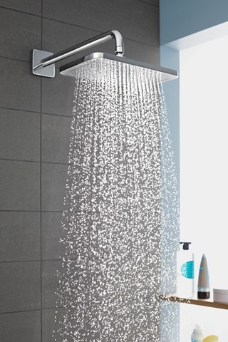 Hansgrohe Unıversal Dus Dırsegı E 389 Mm Krom 27446000