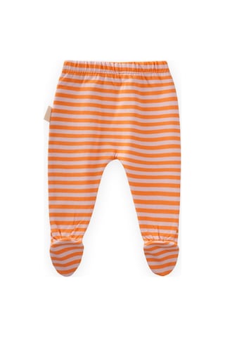 Cigit Ayaklı Bebe Pantolon 0-6 Ay Pudra Şeftali Çizgili Pudra