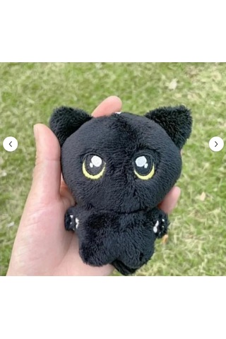 Pepikon Enhypen Skzoo Kpop Peluş Oyuncak 10 Cm Anahtarlık Çanta Aksesuar Siyah