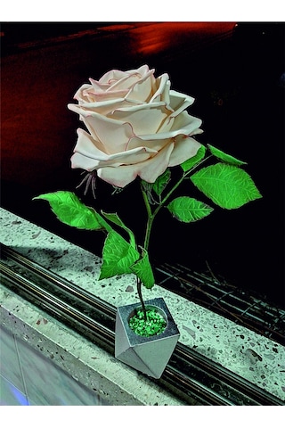 Dekoratif Gül Ambiyans