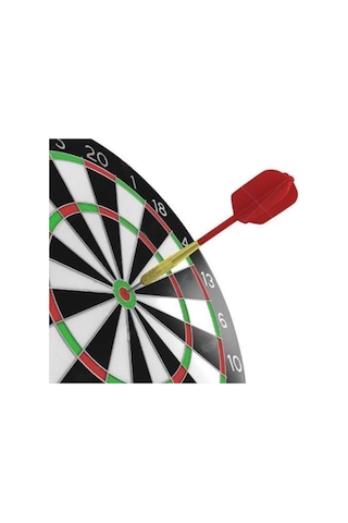 6 İğneli Dart Takımı