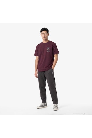 Unıted4 Regular Fit Erkek Bordo T-shirt Forest 2851846