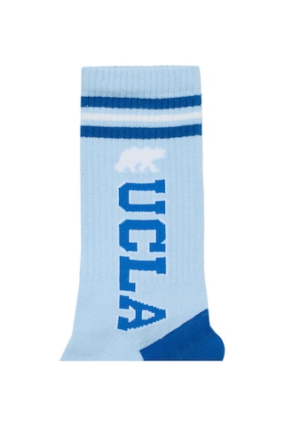 Ucla Ardelle 2'li Ekru-mavi Uzun Jakarlı Pamuk Standard Fit Unisex Çorap