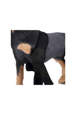 Homyl Köpek Diz Eklemi Desteği Ön Bacak Sıkıştırma Brace Koruyucu