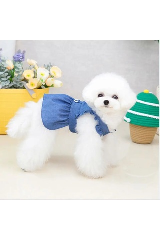 Best Golden Monkey Köpekler İçin Elbise-çekme 171026567