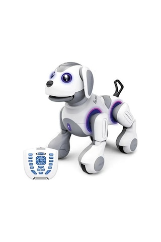 Uzaktan Kumandalı Programlanabilir Robot İle Eğlence