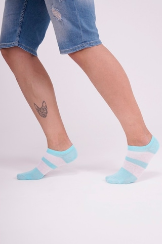 The Socks Company Erkek Çorap 23sdcr157p Renkli