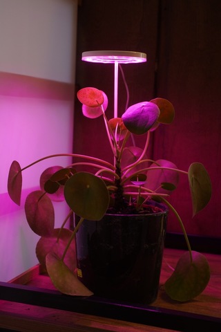 Bitki Led Lamba 5v Usb Tam Spektrumlu Bitki Yetiştirme - Geliştirme Led Aydınlatma - Fullspectrum 8w