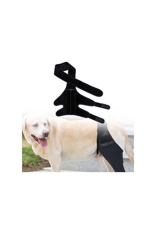 Homyl Köpek Bacak Desteği Esnek Destek Bandajları Malzemeleri
