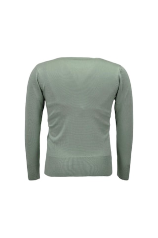 Kadın Sıfır Yaka Spor Kazak Bgl-st04085 ELMA YEŞİLİ Yeşil