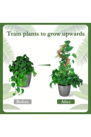 Bitki Tırmanma Braketi Sarmaşık Ve Çiçekler İçin Dayanıklı Destek Aparatı