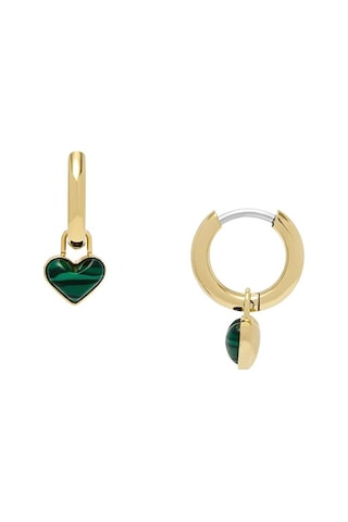 Fossil Jewel Jf04859-710 Kadın Küpe Altın