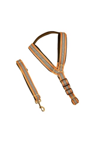 Barones Halat Dokuma Kumaşlı Köpek Göğüs Tasma Seti Bej Large