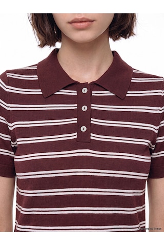 Lcw Modest Bordo Polo Yaka Çizgili Kadın Triko Kazak