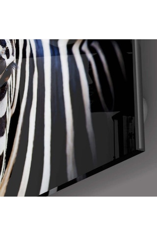 Zebra Cam Tablo