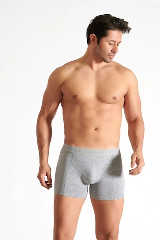 Hepsine Rakip 4 Lü Tutku İç Giyim Pamuklu Likralı Erkek Boxer 0114 Gri