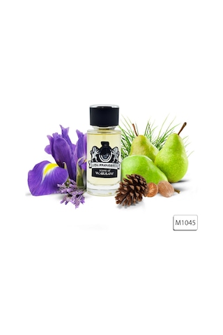 Lion Francesco Scent Of Warsaw Erkek Parfüm EDP 50 ML