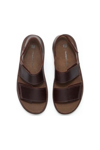 Timberland Casco Cove Backstrap Sandal-14372 Dark Brown Full Graın