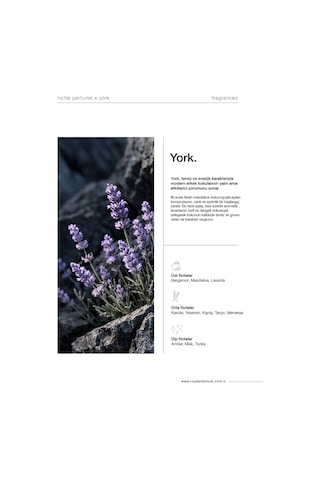 York 100 Ml Nıche Parfüm Aromatik